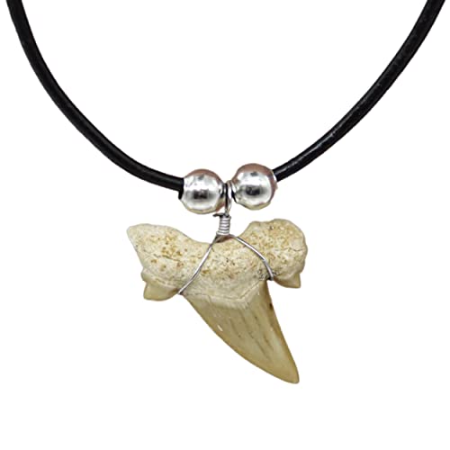Natural Shark Tooth Necklace for Boys, Genuine Fossil Shark Teeth Jewelry for Men, Cool Beach Necklaces for Teen Girls, Beachy Surfer Necklace for Women
