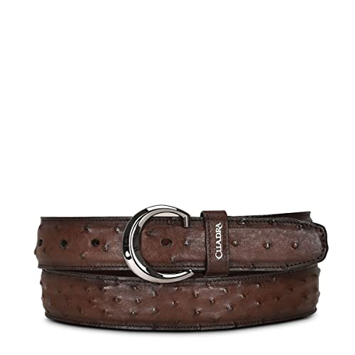 Cuadra Men's Cowboy Belt in Ostrich Leather Brown, CS381A1, Size 34