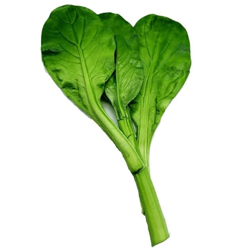 BEIDUOYANG Safe Fake Vegetable Models PU Artificial Chinese Choy Sum Vegetable Props Suitable for Kitchen Decorations Fake Green Vegetables