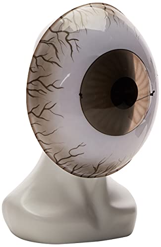 Disguise mens Giant Eyeball Accessory costume masks, White/Black, One Size Adult US