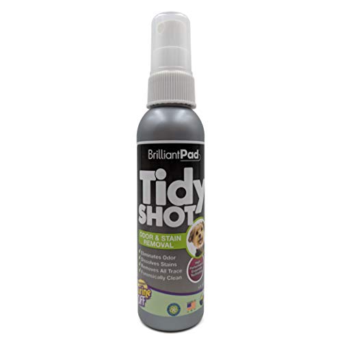 BrilliantPad TidyShot Enzymatic Spray | Advanced Professional Strength Natural Pet Stain Remover & Odor Eliminator | Cleans Cat & Dog Urine on Contact | Safe on All Surfaces Potty Training Aid (4 oz)
