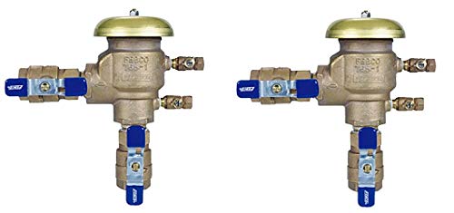 Febco 765-1' BV-Pressure Vacuum Assembly (Pack of 2)