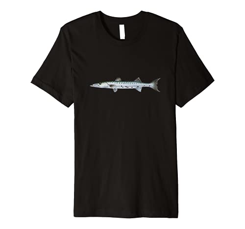 Barracuda Fish