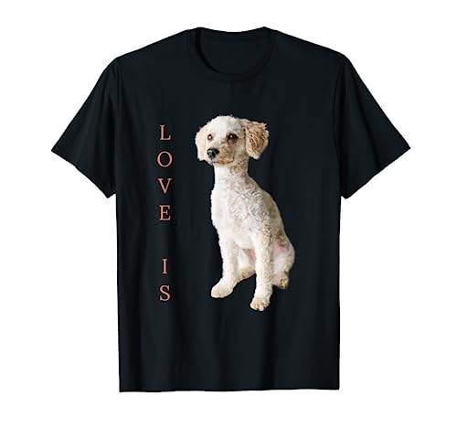 Toy Poodle Shirt Women Men Kids Dog Mom Dad Love Pet Gift T T-Shirt