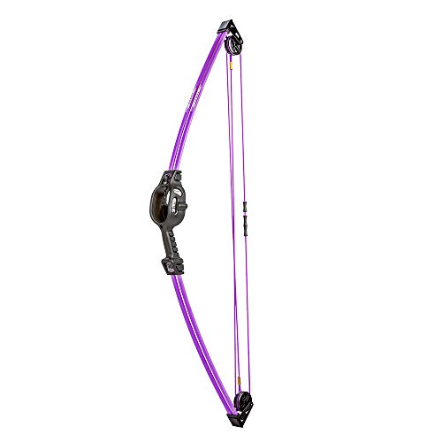 Bear Archery Spark Youth Bow Set, Ambidextrous, Flo Purple