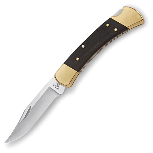 Buck Knives 110 Folding Hunter Lock-back Knife, Brass Bolsters, Ebony Handles, 3-3/4' 420HC Blade with Leather Sheath