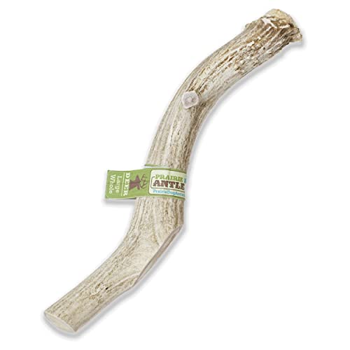 Prairie Dog Pet Products Deer Large Antler Treat, 8-9'