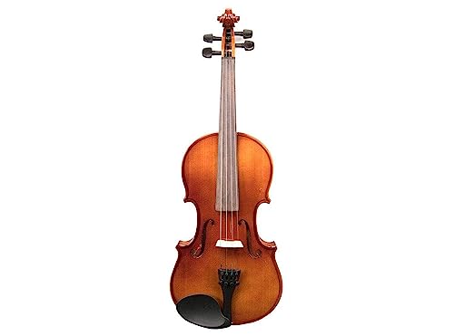 Benjamin Adams VN100 Student Violin