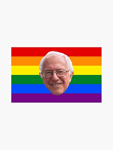 Bernie Sanders Pride Flag Vinyl Decal Bumper Sticker Wall Laptop Window Sticker 5'