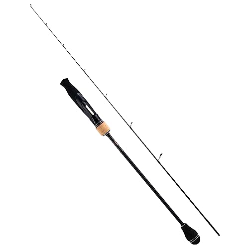 Goture 2 Piece Jigging Spinning/Casting Rod Saltwater 6'/6'5'',Slow Pitch Jigging Baitcasting Rod, Saltwater/Freshwater Medium/Medium Light/Medium Heavy Fishing Pole for Salmon, Trout, Bass