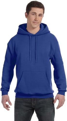 Hanes mens Pullover Ecosmart Hooded athletic sweatshirts, Deep Royal, X-Large US