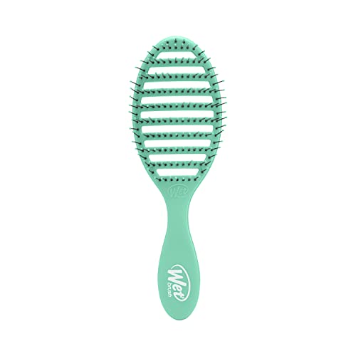 Amazon Exclusive Wet Brush Speed Dry - Aqua