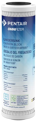 Pentair OMNIFilter CB1 Carbon Water Filter, 10-Inch, Under Sink Carbon Block Replacement Cartridge, 10' x 2.5', 0.5 Micron
