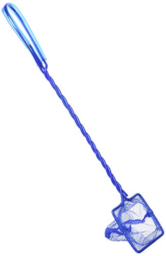 PENN-PLAX Quick-Net Aquarium Fish Net – Durable, Strong, and Safe – Color May Vary (Blue or Green) – 2” x 1.75” Net – 10” Handle