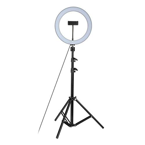 Fealay 26cm Studio Live Led Ring Light With Phone Holder 120cm Ring Light Kit Foldable Tripod Kit Adjustable 360 Rotation for Phone Selfie Light Beauty Photograph