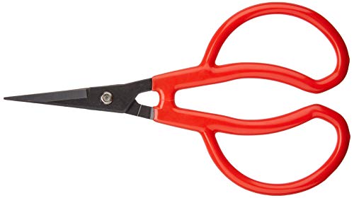 Koshiji Petit cut K-23 (japan import)