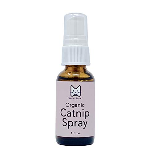 best catnip spray uk