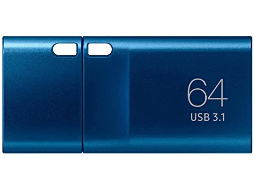 SAMSUNG Type-C USB Flash Drive, 64GB, Transfers 4GB Files in 15 Secs w/Up to 300MB/s 3.13 Read Speeds, Compatible w/USB 3.0/2.0, Waterproof, 2022, Blue, MUF-64DA/AM