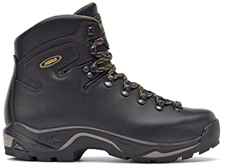 Asolo Men'sTPS 535 LTH V EVO Long Distance, Backpacking, Trekking, Technical Terrian Hiking Boots (Brown, 9)