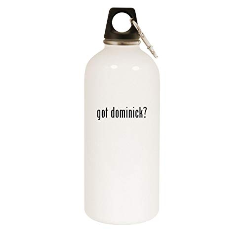 Molandra Products got dominick? - 20oz Stainless Steel White Water Bottle with Carabiner, White
