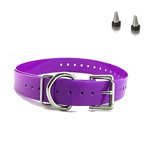 Dogtra 3/4' Contact Points & 3/4' dogtra High Flex Replacement Strap (Dark Purple)
