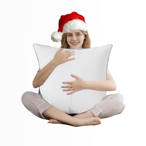 DOWNCOOL Throw Pillow Inserts (Pack of 1) - 24 x 24 White Square Pillow Inserts for Sofa Bed - Indoor Decorative Couch Pillows
