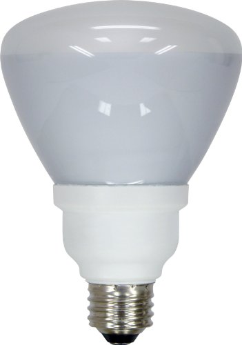 GE Lighting 80893 Energy Smart CFL 15-Watt (65-watt replacement) 750-Lumen R30 Floodlight Bulb with Medium Base, 1-Pack