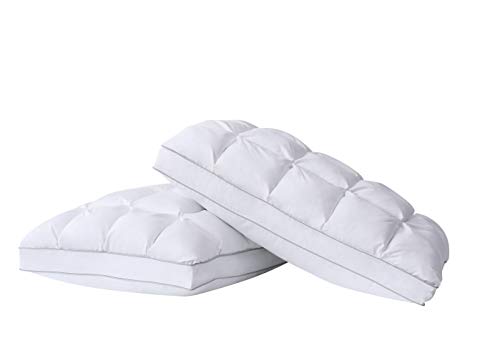 Charisma Luxe Down Alternative Gel Filled Chamber 2-Pack Pillow Standard Size White