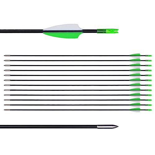 LWANO 31' Training Arrows-Archery Practice Target Arrows for Kids Youth or Beginners with Durable Shaft on Recurve Bow Compound Bow and Longbow (12pas Arrows, Green)
