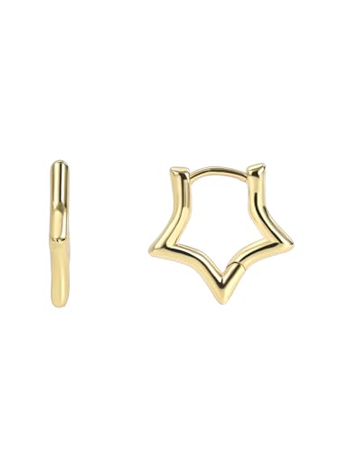 Charm-In Jewelry Hoop Earrings for Women Small Gold Hoop Earrings 14K Gold Plating Tiny Huggie Hoop Earrings Large Circle Dangle Earrings Gold Jewelry for Women