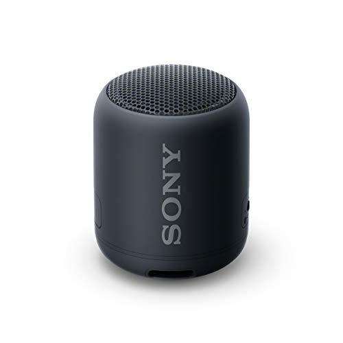Sony Compact and Portable Waterproof Wireless Speaker with Extra Bass - Black