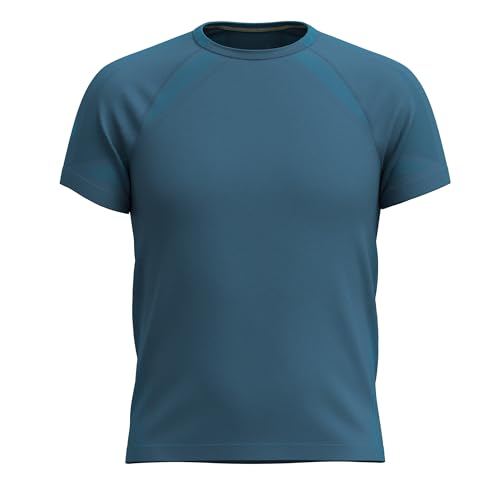 Smartwool Men's Intraknit Active Merino Wool Seamless Short Sleeve Tee (Regular Fit)