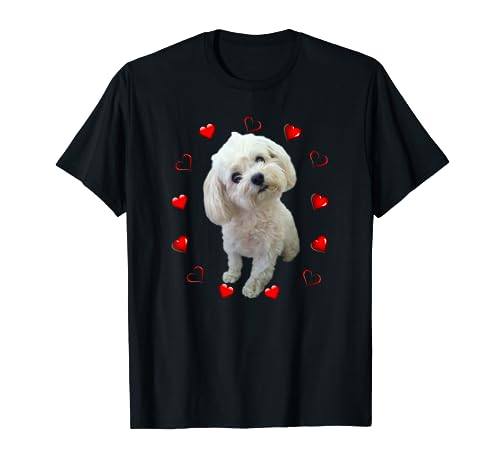 Maltese Dog Lover Puppy Owner Maltipoo Mix Fans Hearts T-Shirt