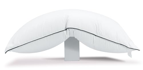 HYVIF Luxury All Hungarian Goose Down Pillows Queen Size, Soft and Support Down Bed Pillow for Back, Side, Stomach Sleepers, 460 Thread Count Cotton Shell, Queen (20' x 28')