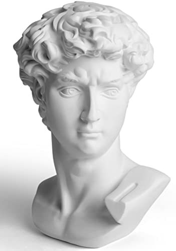 Garwor David Statue Head Sculptures 6' Michelangelo David Bust Figurine Classic Greek Roman Bust Home Decor Office Decor