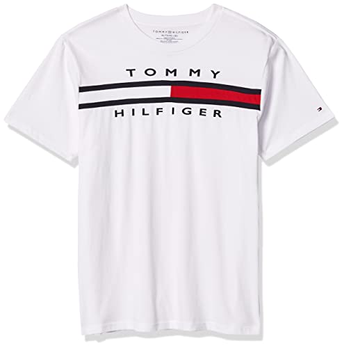 Tommy Hilfiger Boys' Short Sleeve Flag Crew Neck T-Shirt, Legacy White, 2T