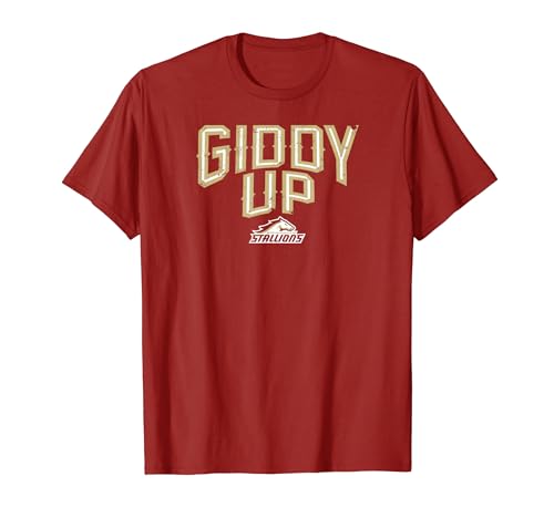 Birmingham Stallions UFL - Giddy Up - Birmingham Football T-Shirt