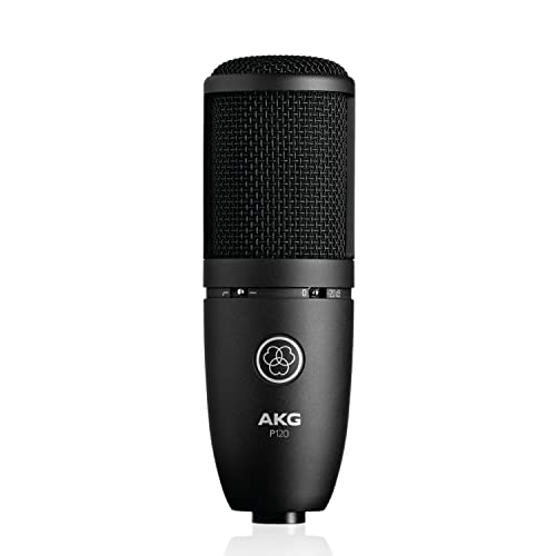AKG P120 High-Performance General Purpose Recording Microphone,Black