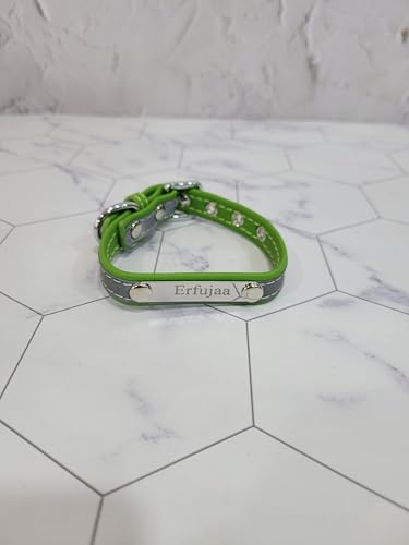 Erfujaa Collars for pets Stylish and Secure Collars for Furry Companions