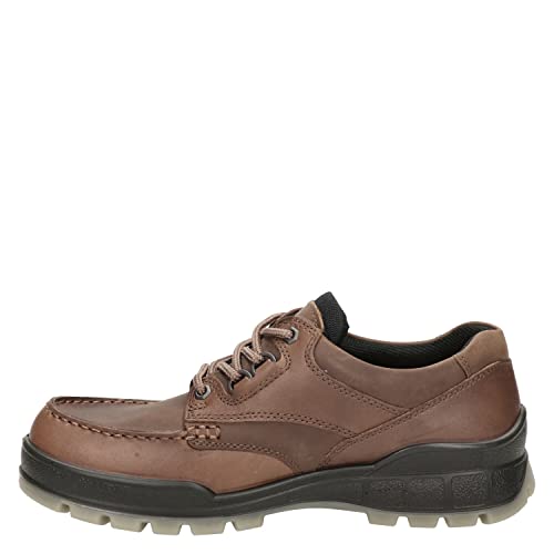 ECCO Men's Track 25 Low Gore-tex Waterproof Hiking Shoe, Bison/Bison Oil Nubuck, 11-11.5