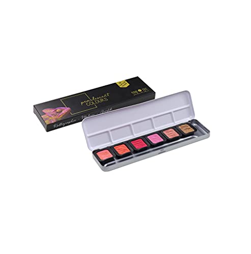 ホルベイン画材(Holbein Art Materials) Finetech Pearl Cent Color F0603 Pearl 5 Colors + Flip-Flop 1 Color Set 610607