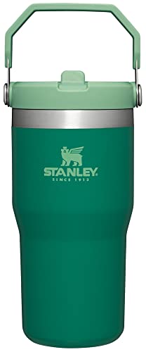 Stanley IceFlow Stainless Steel Tumbler with Straw - Vacuum Insulated Water Bottle for Home, Office or Car - Reusable Cup Leakproof Flip - Cold for 12 Hours or Iced for 2 Days (Alpine), 20oz