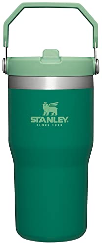 Stanley IceFlow Stainless Steel Tumbler with Straw - Vacuum Insulated Water Bottle for Home, Office or Car - Reusable Cup Leakproof Flip - Cold for 12 Hours or Iced for 2 Days (Alpine), 20oz