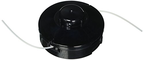 Metabo HPT Hitachi 6696597 CG22EAB Nylon Head R Female Mounting, 4'