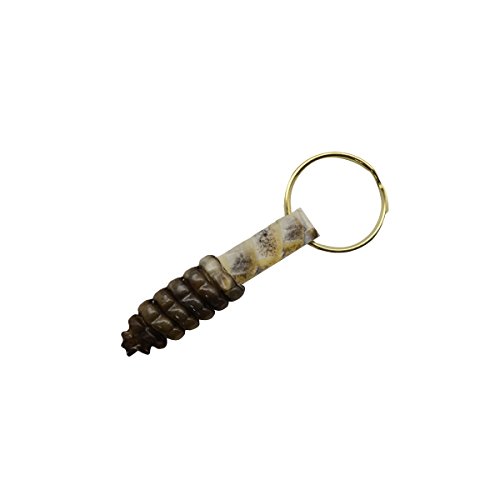 TG,LLC Treasure Gurus Rattlesnake Tail Rattle Keychain 100% Real Taxidermy Car Key Ring