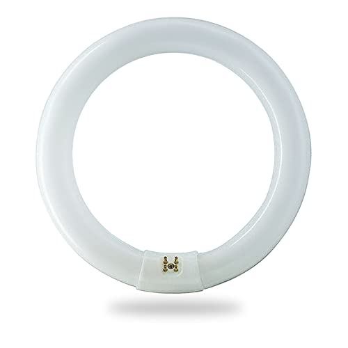 BULBMASTER FC8T9/CW 22 Watt 8 Inch Round T9 Fluorescent Circular Light Bulb, Cool White 4100K, 1120 Lumens G10Q 4-Pin Base 22W Circline Ceiling Lights