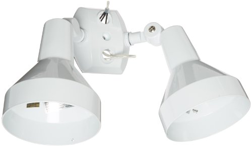 RAB Lighting H2W Bell Shaped Dual Floodlight Kit, PAR38 Type, Aluminum, 300W Power, White, Multicolor
