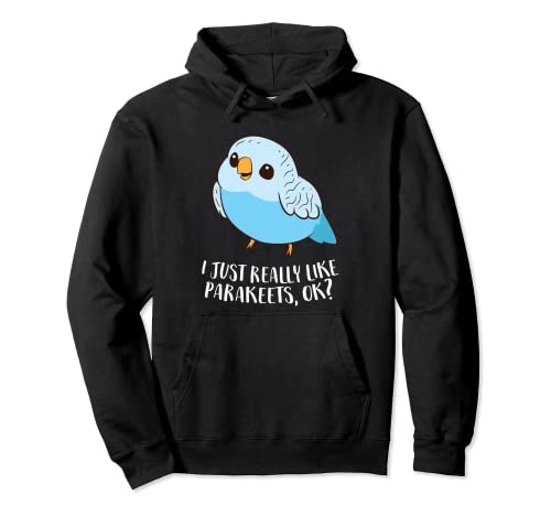 Cute Parakeet I Just Really Like Parakeets Ok Parakeet Bird Pullover Hoodie