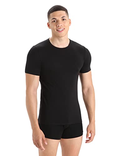 Icebreaker Merino Men's Anatomica Short Sleeve Crewe , Black/Monsoon, Medium