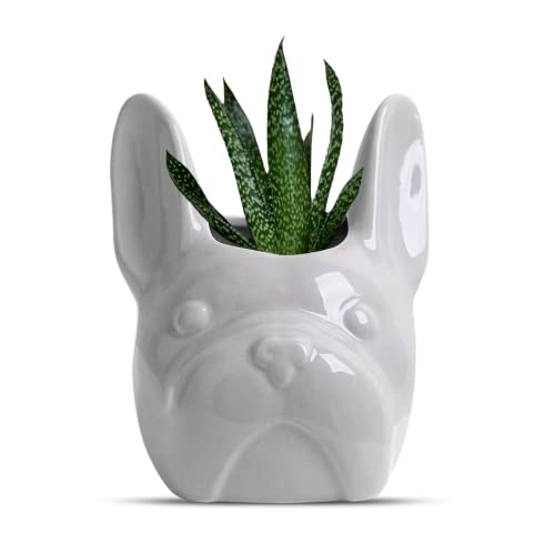 Allicat Co. Dog Planter Pot - Ceramic Plant Pot w/ Drainage - Cute Planters for Succulent or Cactus - Animal Succulent Pots - Ceramic Planter Garden Gifts (5” x 5”) *PLANT NOT INCLUDED*